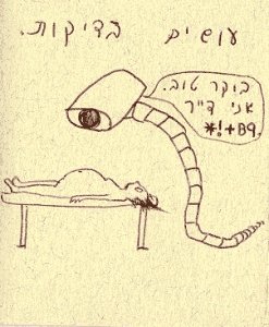 P10.jpg (64575 bytes)