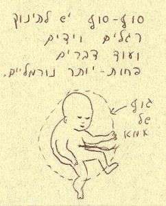 P12.jpg (64384 bytes)