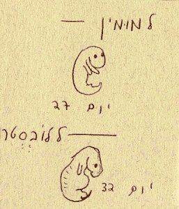 P7.jpg (65778 bytes)