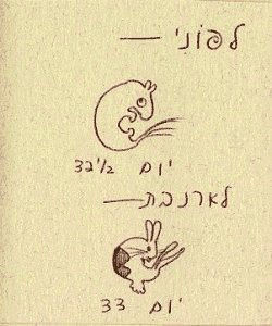 P8.jpg (61866 bytes)