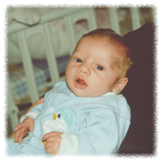 hila.gif (64678 bytes)